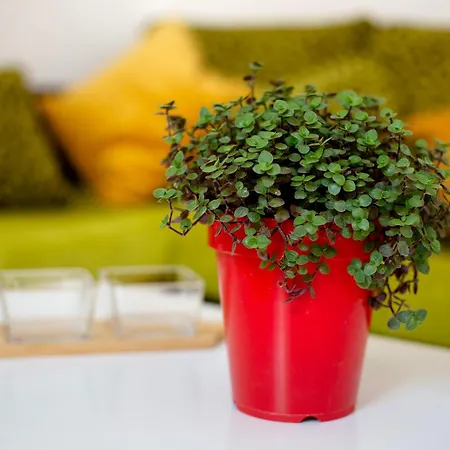 Casa Jose Esquinzo * Jandia (Fuerteventura)