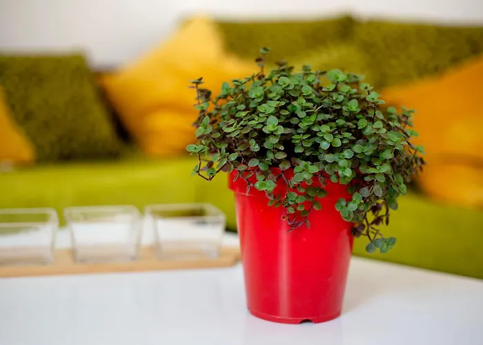 Casa Jose Esquinzo * Playa Jandia